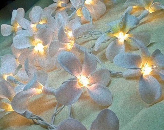 1 Set of 20 LED White Frangipani Flower Battery String Lights Christmas Gift Home Wedding Beach Party Decoration Outdoor Table Centrepiece