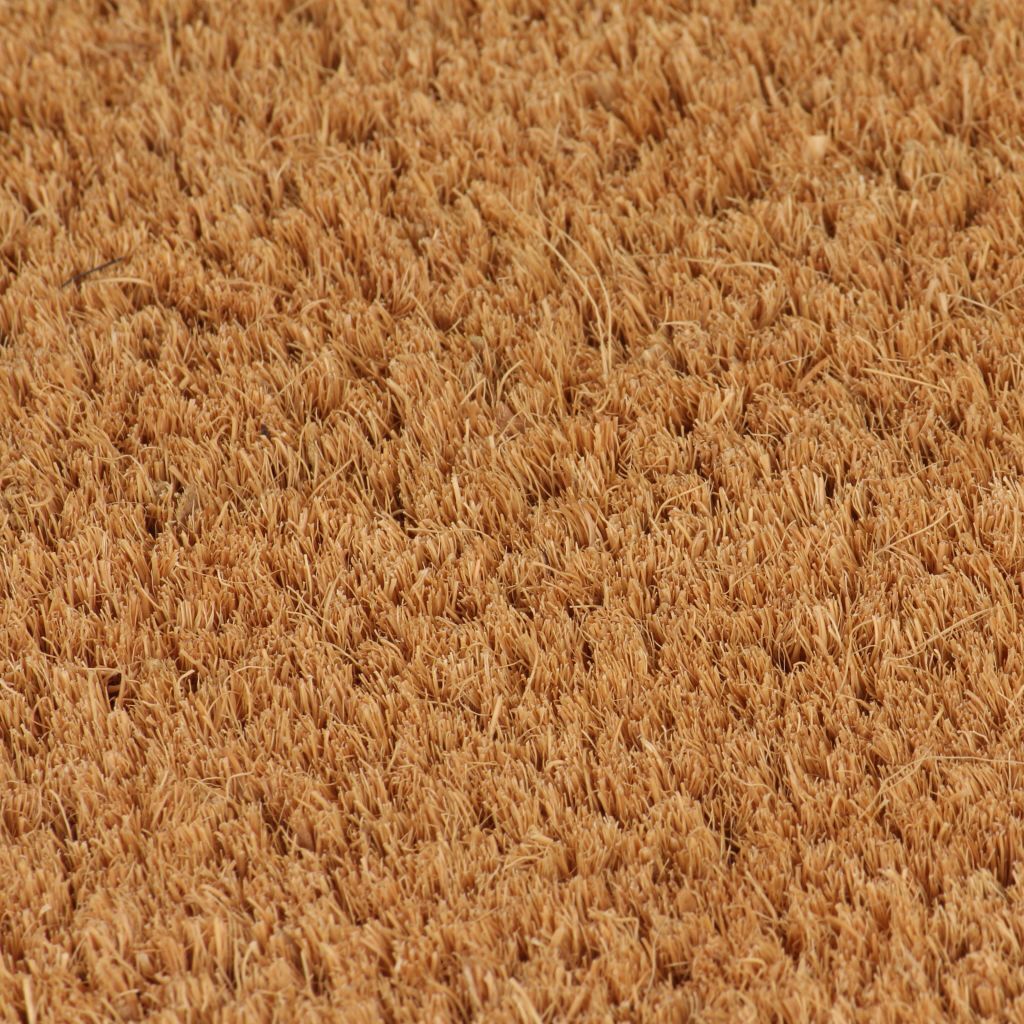 Doormats 2 pcs Coir 24 mm 40×60 cm Natural