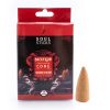 Soul Sticks Backflow Incense Cone – Set of 10