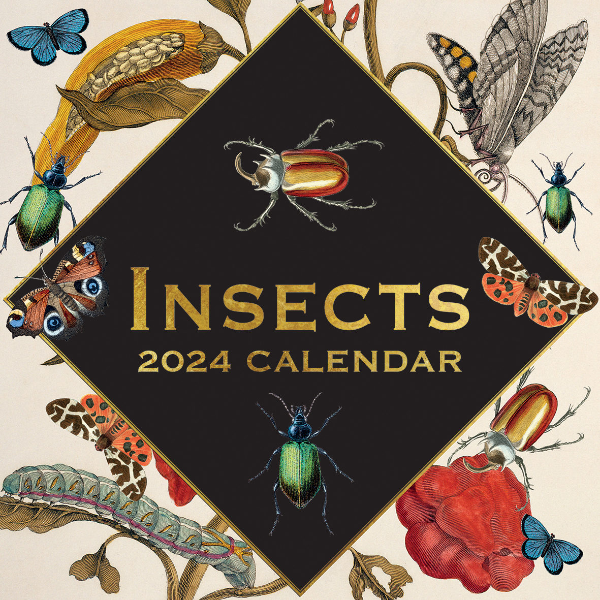 Insects 2024 Square Wall Calendar 16 Months Arts Planner Christmas New   V474 615588 