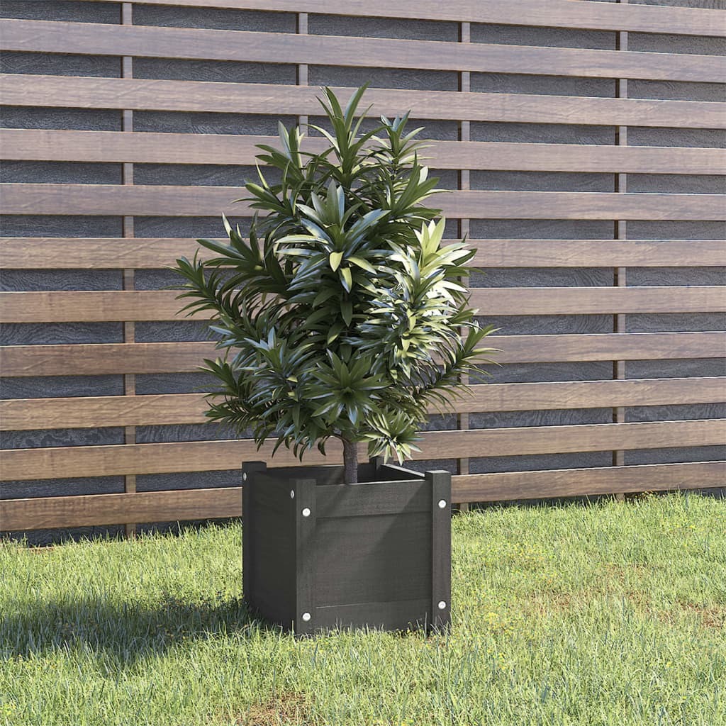 Garden Planter 31x31x31 cm Solid Pinewood – Grey, 1
