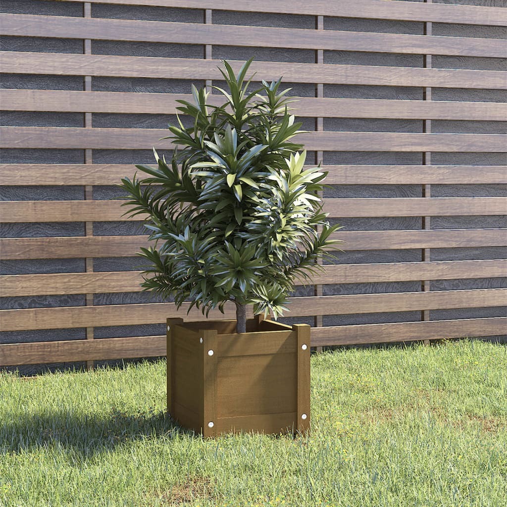 Garden Planter 31x31x31 cm Solid Pinewood – Honey Brown, 1