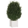 Garden Planter 40x40x40 cm Solid Pinewood – White, 2