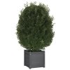 Garden Planter 40x40x40 cm Solid Pinewood – Grey, 1