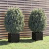 Garden Planter 40x40x40 cm Solid Pinewood – Black, 2