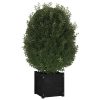 Garden Planter 40x40x40 cm Solid Pinewood – Black, 2