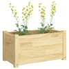 Garden Planter 60x31x31 cm Solid Pinewood – Brown, 2