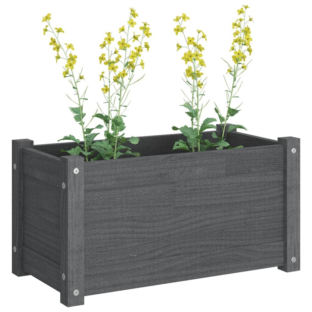 Garden Planter 60x31x31 cm Solid Pinewood – Grey, 1