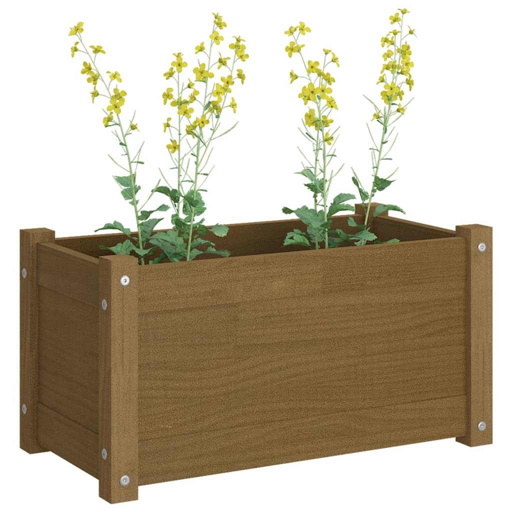 Garden Planter 60x31x31 cm Solid Pinewood – Honey Brown, 1