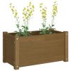 Garden Planter 60x31x31 cm Solid Pinewood – Honey Brown, 2