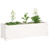 Garden Planter 100x31x31 cm Solid Pinewood – White, 2