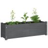 Garden Planter 100x31x31 cm Solid Pinewood – Grey, 2